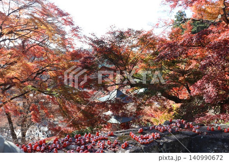 大阪府箕面市勝尾寺の秋の風景 大阪府箕面市勝尾寺の秋の風景 140990672