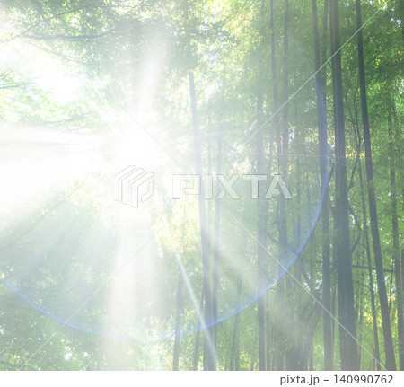 竹林に光芒が差し込む風景 旧国鉄倉吉線 竹林に光芒が差し込む風景 旧国鉄倉吉線 140990762