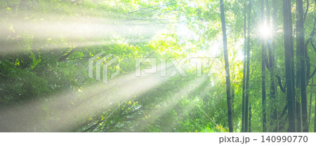 竹林に光芒が差し込む風景 旧国鉄倉吉線 竹林に光芒が差し込む風景 旧国鉄倉吉線 140990770