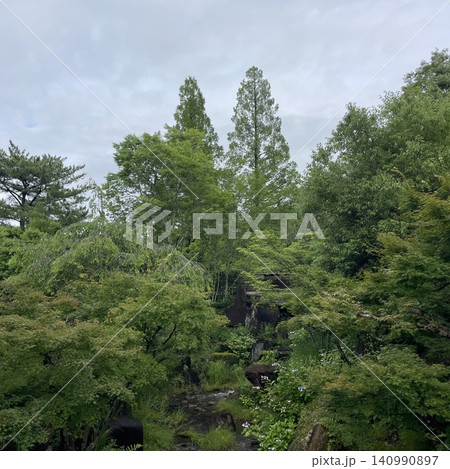 新緑に包まれた静かな日本庭園と清流のある癒しの風景 新緑に包まれた静かな日本庭園と清流のある癒しの風景 140990897