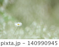一輪の小さな白い花と白い花のボケのバック 140990945