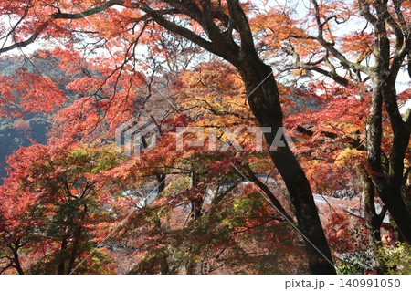 大阪府箕面市勝尾寺の秋の風景と境内の風景 大阪府箕面市勝尾寺の秋の風景と境内の風景 140991050