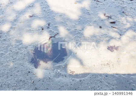 浜辺の海藻(背景素材) 浜辺の海藻(背景素材) 140991346