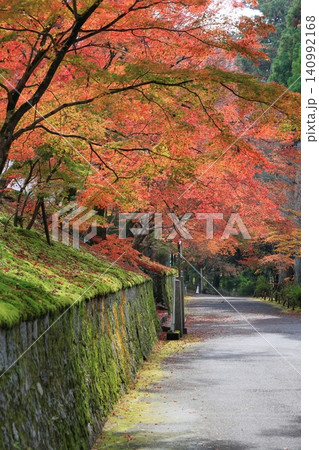 紅葉が美しい京都の小径 140992168