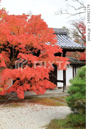 真っ赤に色づく日本庭園の紅葉 真っ赤に色づく日本庭園の紅葉 140992174