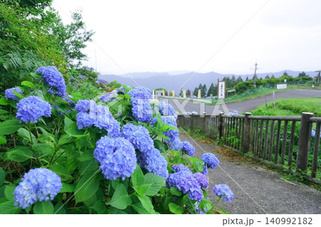 雨の日の紫陽花と遠くに望む紀伊山地の山々【和歌山県】 雨の日の紫陽花と遠くに望む紀伊山地の山々【和歌山県】 140992182