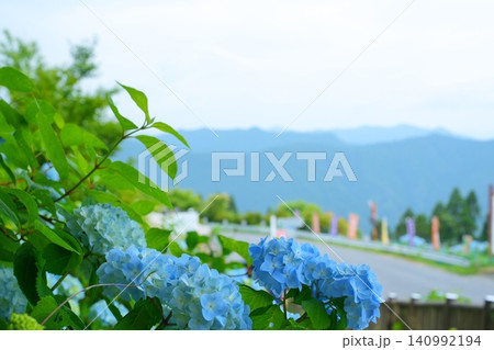 雨の日の紫陽花と遠くに望む紀伊山地の山々【和歌山県】 雨の日の紫陽花と遠くに望む紀伊山地の山々【和歌山県】 140992194