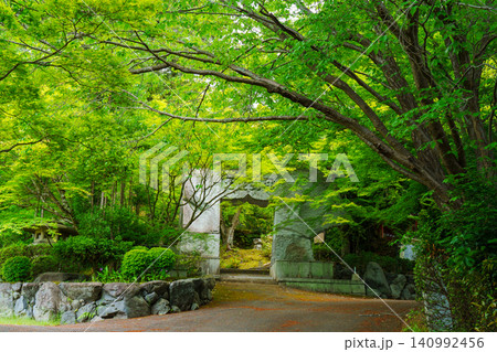 新緑に包まれた苗秀寺の参道 新緑に包まれた苗秀寺の参道 140992456