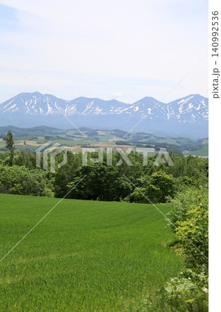 六月の北海道、春の北海道、初夏の北海道、丘のまち美瑛の北西の丘展望公演から眺める美瑛の街と十勝岳連邦 六月の北海道、春の北海道、初夏の北海道、丘のまち美瑛の北西の丘展望公演から眺める美瑛の街と十勝岳連邦 140992536