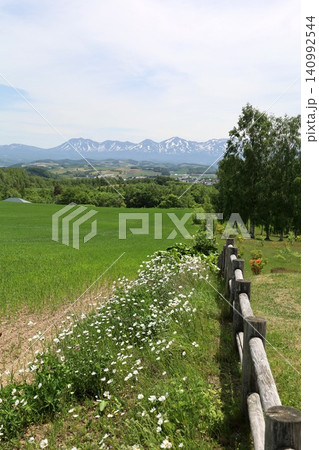 六月の北海道、春の北海道、初夏の北海道、丘のまち美瑛の北西の丘展望公演から眺める美瑛の街と十勝岳連邦 六月の北海道、春の北海道、初夏の北海道、丘のまち美瑛の北西の丘展望公演から眺める美瑛の街と十勝岳連邦 140992544