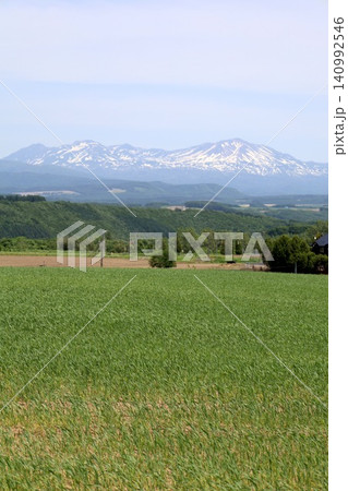 六月の北海道、春の北海道、初夏の北海道、丘のまち美瑛の北西の丘展望公演から眺める美瑛の街と十勝岳連邦 六月の北海道、春の北海道、初夏の北海道、丘のまち美瑛の北西の丘展望公演から眺める美瑛の街と十勝岳連邦 140992546