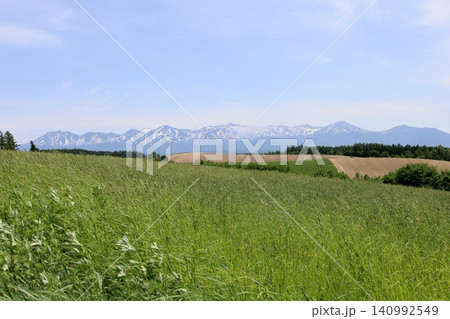 六月の北海道、春の北海道、初夏の北海道、丘のまち美瑛の北西の丘展望公演から眺める美瑛の街と十勝岳連邦 六月の北海道、春の北海道、初夏の北海道、丘のまち美瑛の北西の丘展望公演から眺める美瑛の街と十勝岳連邦 140992549