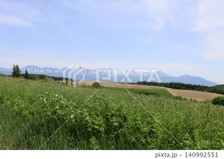 六月の北海道、春の北海道、初夏の北海道、丘のまち美瑛の北西の丘展望公演から眺める美瑛の街と十勝岳連邦 140992551