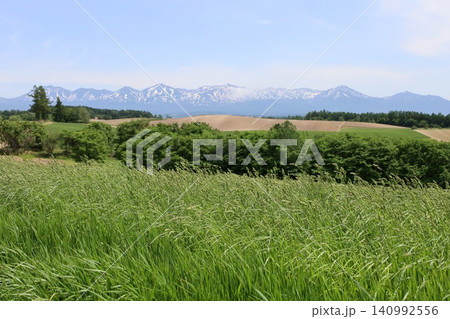 六月の北海道、春の北海道、初夏の北海道、丘のまち美瑛の北西の丘展望公演から眺める美瑛の街と十勝岳連邦 六月の北海道、春の北海道、初夏の北海道、丘のまち美瑛の北西の丘展望公演から眺める美瑛の街と十勝岳連邦 140992556