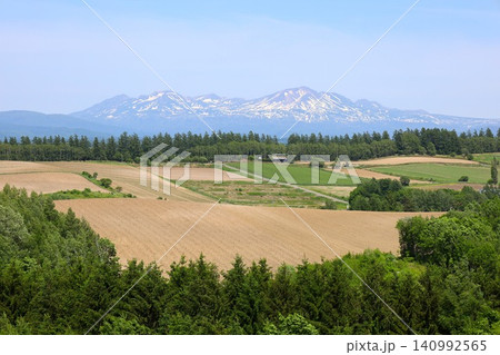 六月の北海道、春の北海道、初夏の北海道、丘のまち美瑛の北西の丘展望公演から眺める美瑛の街と十勝岳連邦 六月の北海道、春の北海道、初夏の北海道、丘のまち美瑛の北西の丘展望公演から眺める美瑛の街と十勝岳連邦 140992565