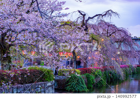 【静岡県】三島大社・境内の桜 夕景 【静岡県】三島大社・境内の桜 夕景 140992577