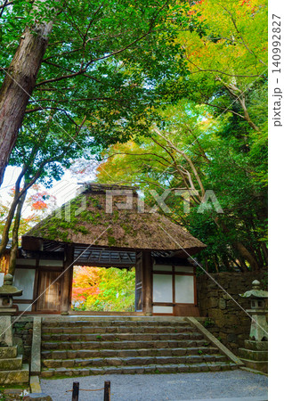 色づき始めた紅葉に包まれた、法然院の山門 140992827