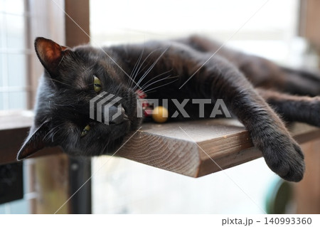 ウッドデッキで眠る黒猫 140993360