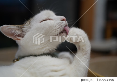 グルーミングをする猫 140993490