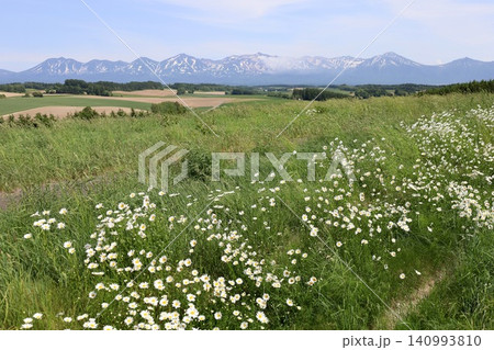 六月の北海道、春の北海道、初夏の北海道、丘のまち美瑛の北西の丘展望公演から眺める美瑛の街と十勝岳連邦 六月の北海道、春の北海道、初夏の北海道、丘のまち美瑛の北西の丘展望公演から眺める美瑛の街と十勝岳連邦 140993810