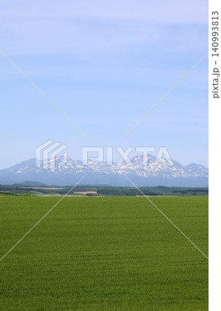 六月の北海道、春の北海道、初夏の北海道、丘のまち美瑛の北西の丘展望公演から眺める美瑛の街と十勝岳連邦 六月の北海道、春の北海道、初夏の北海道、丘のまち美瑛の北西の丘展望公演から眺める美瑛の街と十勝岳連邦 140993813