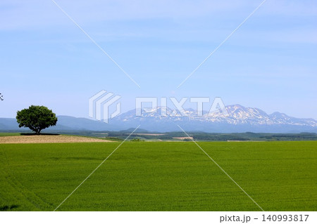 六月の北海道、春の北海道、初夏の北海道、丘のまち美瑛の北西の丘展望公演から眺める美瑛の街と十勝岳連邦 140993817