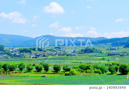 6月の嬬恋村の風景 浅間山の山麓 6月の嬬恋村の風景 浅間山の山麓 140993949