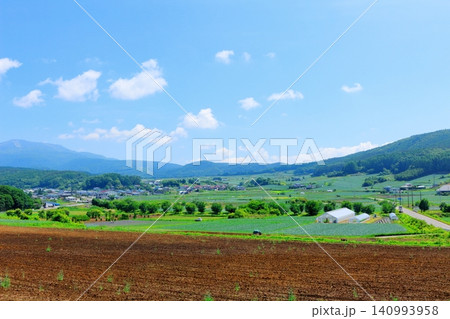 6月の嬬恋村の風景 浅間山の山麓 6月の嬬恋村の風景 浅間山の山麓 140993958