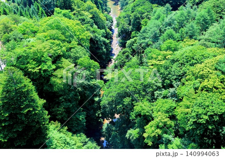 6月の群馬県の渓谷 春の渓谷 6月の群馬県の渓谷 春の渓谷 140994063