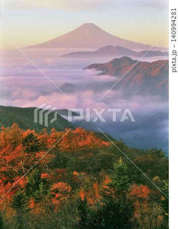 雁ヶ腹摺山登山道の頂上に近い部分から雲海の上に左右対称の富士山 雁ヶ腹摺山登山道の頂上に近い部分から雲海の上に左右対称の富士山 140994281