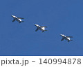 百里基地航空祭でのブルーインパルス飛行展示 140994878