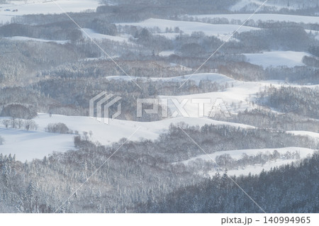 雪原の農地と点在する森の俯瞰 雪原の農地と点在する森の俯瞰 140994965