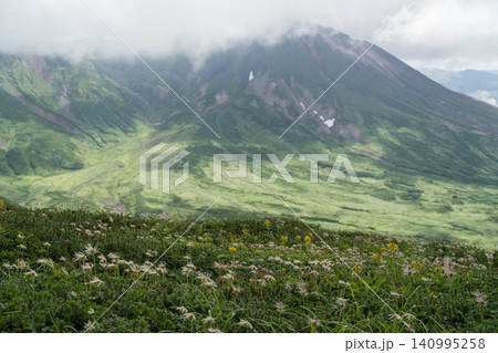 夏の花畑と火山 夏の花畑と火山 140995258