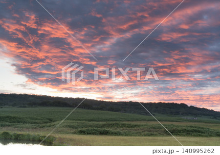 夜明けの草原とピンクの朝雲 夜明けの草原とピンクの朝雲 140995262