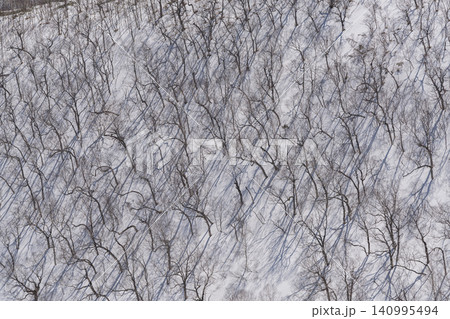 雪の斜面の裸木が描く抽象模様 140995494