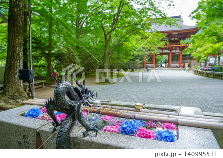 奈良県宇陀市 室生寺の仁王門正面の手水に飾られた紫陽花の花々 奈良県宇陀市 室生寺の仁王門正面の手水に飾られた紫陽花の花々 140995511