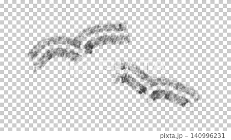 Illustration material Illustration material 140996231