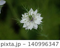 ニゲラ　花 140996347