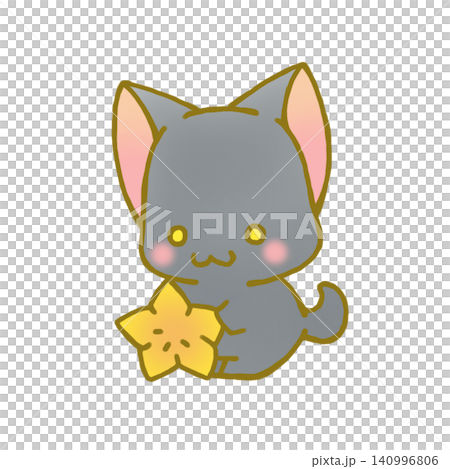 星と黒猫 140996806