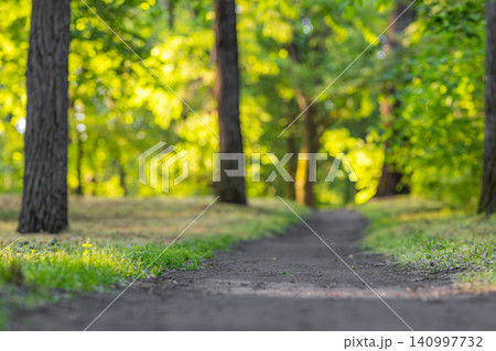 Sunlit forest path winding through lush green woodland. Soft morning light filtering between tall trees. Peaceful nature trail for hiking mindfulness wellbeing background Sunlit forest path winding through lush green woodland. Soft morning light filtering between tall trees. Peaceful nature trail for hiking mindfulness wellbeing background 140997732