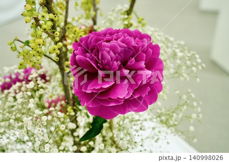 かすみ草やグリーンの実に囲まれた華やかなピンクの芍薬の花 140998026