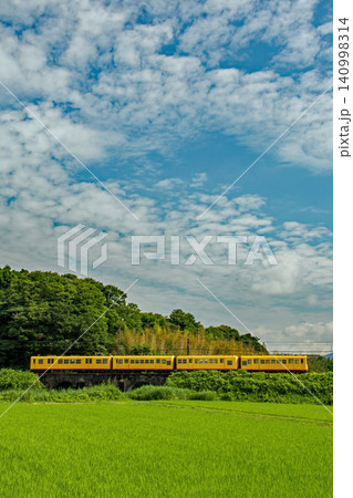初夏の田園地帯を走る三岐鉄道 140998314