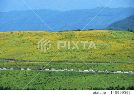 【山の風景】長野県・霧ヶ峰・ニッコウキスゲ見頃・大渋滞(2009年) 【山の風景】長野県・霧ヶ峰・ニッコウキスゲ見頃・大渋滞(2009年) 140999595