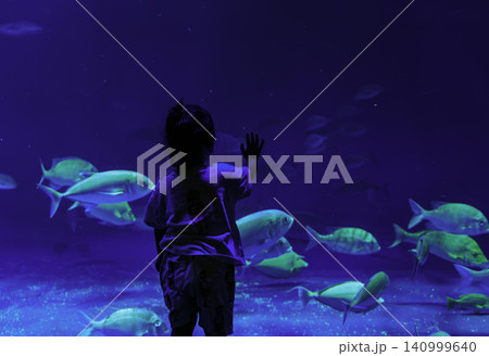 ディープブルーに輝く大水槽に手を当てて魚の群れをじっと見つめる子どもの後ろ姿 ディープブルーに輝く大水槽に手を当てて魚の群れをじっと見つめる子どもの後ろ姿 140999640