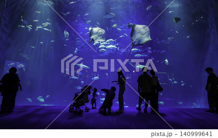 降り注ぐ光のなかでエイやサメが優雅に舞う、水族館の巨大大水槽と見学者たちのシルエット 140999641