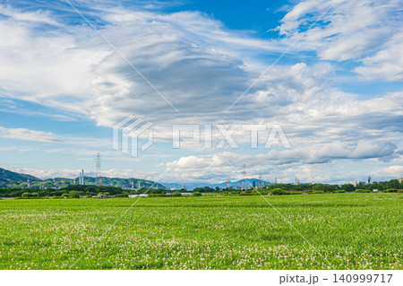 淀川河川公園枚方地区 大阪府枚方市 淀川河川公園枚方地区 大阪府枚方市 140999717