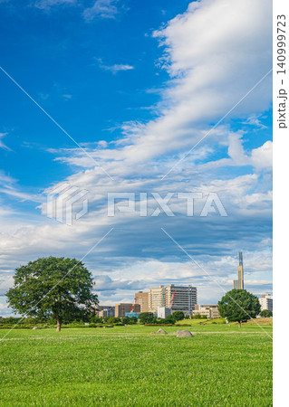 淀川河川公園枚方地区 大阪府枚方市 淀川河川公園枚方地区 大阪府枚方市 140999723