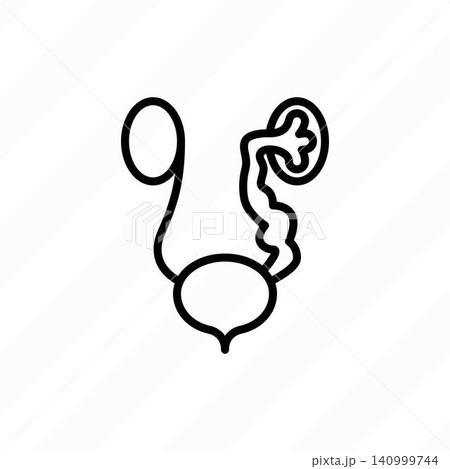 Vesicoureteral reflux. Urine flows backward from bladder into kidneys. Urinary reflux. Thin line icon. Healthcare vector illustration. 140999744