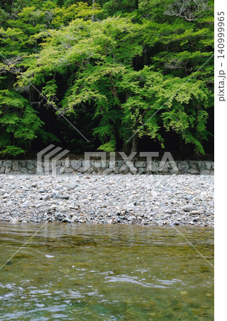 五十鈴川と新緑の森 五十鈴川と新緑の森 140999965
