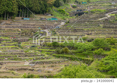 新城市の田植え前の四谷の千枚田の風景(愛知県) 141000041